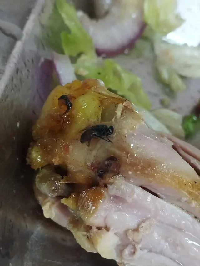 🍽️ Restaurant 2